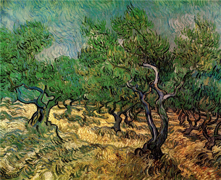 Olive Grove 1889 Vincent Willem Van Gogh Oil Painting